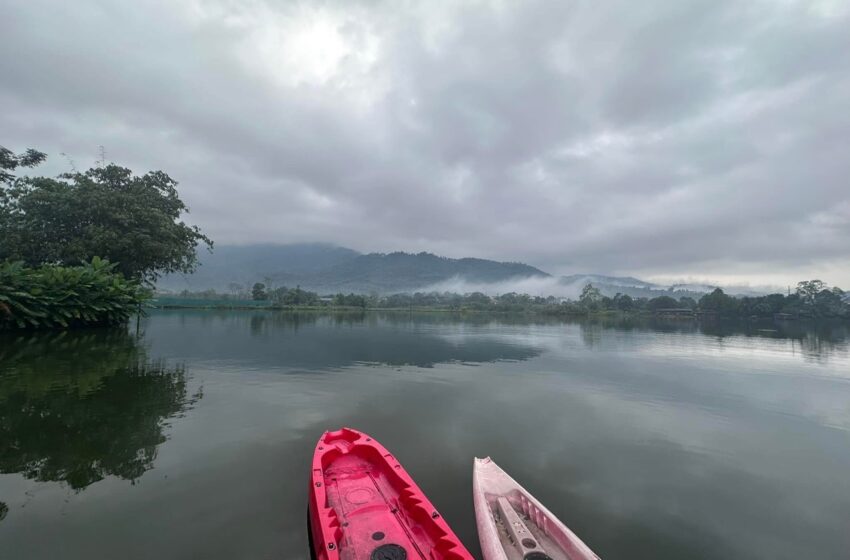  “Đường Xưa Mây Trắng” và Hành trình tìm lại sự bình yên